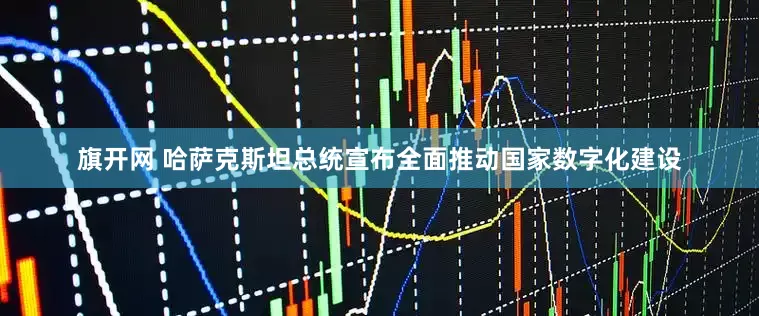 旗开网 哈萨克斯坦总统宣布全面推动国家数字化建设